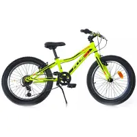 Dino Bikes Fatbike 20 pouces 36 cm garçons 6V freins V chaux