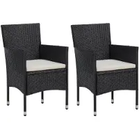 vidaXL Chaises de jardin 2 pcs. Poly rotin noir