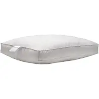 Ducky Dons Oreiller Boîte Ducky Dons 15% Duvet de canard