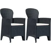 vidaXL Chaises de jardin 2 pcs. avec coussins Anthracite plastique aspect rotin
