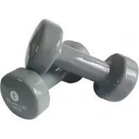 SVELTUS haltère époxy 2 x 3 kg gris