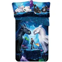 Jerry Fabrics How to Train Your Dragon linge de lit apprivoiser le dragon facilement, 100% coton, couette 140x200 + oreiller 70x90 cm