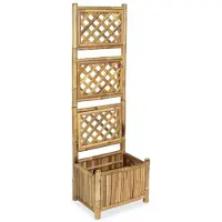 vidaXL Lit surélevé de jardin avec treillis Bambou 40 cm43713