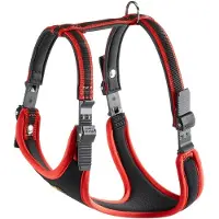 Ferplast Ceintures Ergocomfort - red XL (XL, Chien, Général)