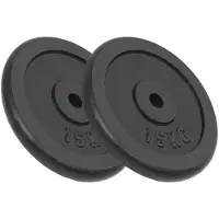 vidaXL Disques d'haltères 2 pièces de 30 kg en fonte
