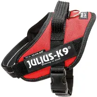 Julius-K9 Julius k9 Power-Kabelbaum / faisceau de câbles pour tags rouge