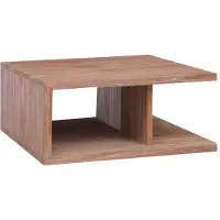 vidaXL Table basse 70 x 70 x 30 cm en teck massif