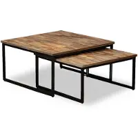 vidaXL Ensemble de tables basses 2 pièces en teck massif recyclé