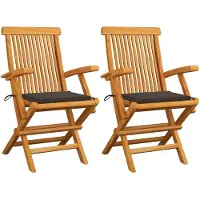 vidaXL Chaises de jardin avec coussins Taupe 2 pcs. Bois massif teck