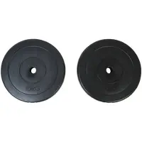 vidaXL Poids 2 disques d'haltères 10kg