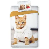 Inte Informerad Kitten