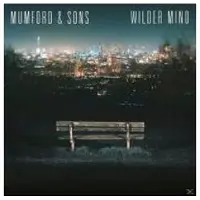 V2 - Wilder Mind CD
