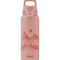 SIGG Bouteille Wmb Pathfinder 1l