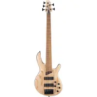 Cort B5 Element Open Pore Natural basse électrique 5 cordes