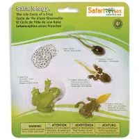 Safari Ltd. Ensemble de figurines sur le cycle de vie d'une grenouille - Miniature ducative
