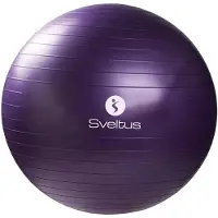 SVELTUS Gymball Ø75cm - Boîte de- Violet