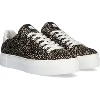 Maruti Ted Baskets Basses Noir Femme | Pointure 40
