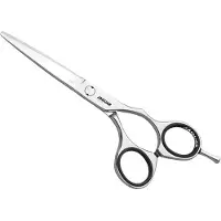 Jaguar Ciseaux-de-coiffeur Silver-LineCJ3 5,5 pouces 1 pièce (230,98 € / 1 Pce)
