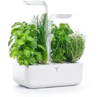 Veritable Jardin d'intérieur Smart