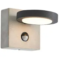 LUCANDE - Belna Sensor LED d'Extérieur Applique Murale Grey