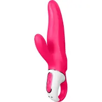 Satisfyer Vibes MR. RABBIT vibromasseur muni d’un stimulateur clitoridien 22 cm