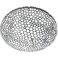 Artemide Calipso Applique/Plafonnier 2700 K