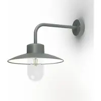 Roger Pradier Belcour Applique Model 9 Metal Grey | Clear