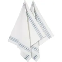 De Witte Lietaer Torchons De Witte Lietaer Dish Oxyde (2 unités)