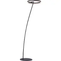 Paul Neuhaus Lampadaire , anthracite, blanc chaud, dimmable, IP20, 3000 K
