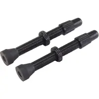 VAR Soupapes Alloy Presta 2 Unités