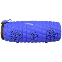 Toshiba Enceinte Bluetooth Wsp80bl