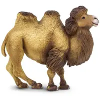Safari Ltd Wild Wildlife Bactrian Camel Realistic Hand-Painted Toy Figurine Model For Ages 3 And Up