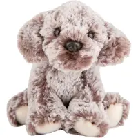 Suki Chien Cockerpoo - FEMELLES en peluche