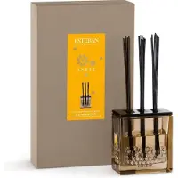 Esteban Bouquet parfumé Triptyque - Ambre - TS