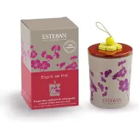 Esteban Bougie déco parfumée rechargeable Esprit de thé - TS