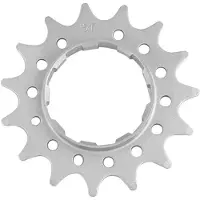 Point 15