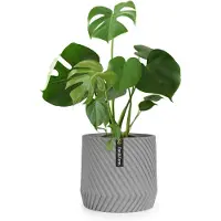 Fox & Fern Pot de fleurs Heusden fait à la main, en polystone respectueux des plantes.