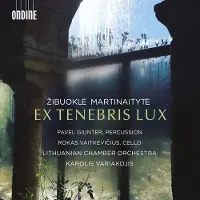 OUTHERE Ex Tenebris Lux [Cd]