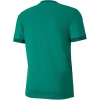 Puma Chemise Teamgoal 23 JerseyK15163