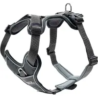 Hunter harnais Divo, couleur:gris/gris, tailles:S-M
