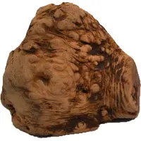 Chewies Racine à mâcher pour chien - 2 friandises - taille L