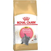 Royal Canin Kitten british shorthair 2x2 kg croquettes pour chatons, jusqu'à 12 mois, race britannique à poil court