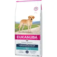 Eukanuba Labrador Retriever Adult - nourriture sèche pour chiens - 12 kg