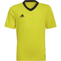 Adidas T-shirt Entrada 22 K12790
