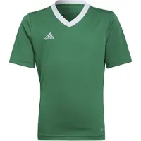 Adidas Garçons, T-shirt de sport, Entrada 22 Maillot de foot enfant (152), Vert, 152