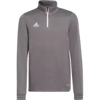 Adidas Entrada 22 Training Sweatshirt Gris 11-12 Years Enfants