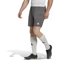 Adidas Pantalon de sport 'Entrada 22' gris basalte / blanc