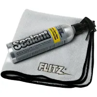 Flitz Sealant spray imperméabilisant céramique, 236 ml