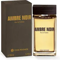 Yves Rocher Ambre Noir Eau de Toilette pour homme 100 ml