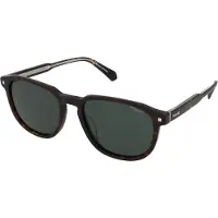 Polaroid Pld4117gsx086 55/18/145 Polarized Sunglasses Marron Homme